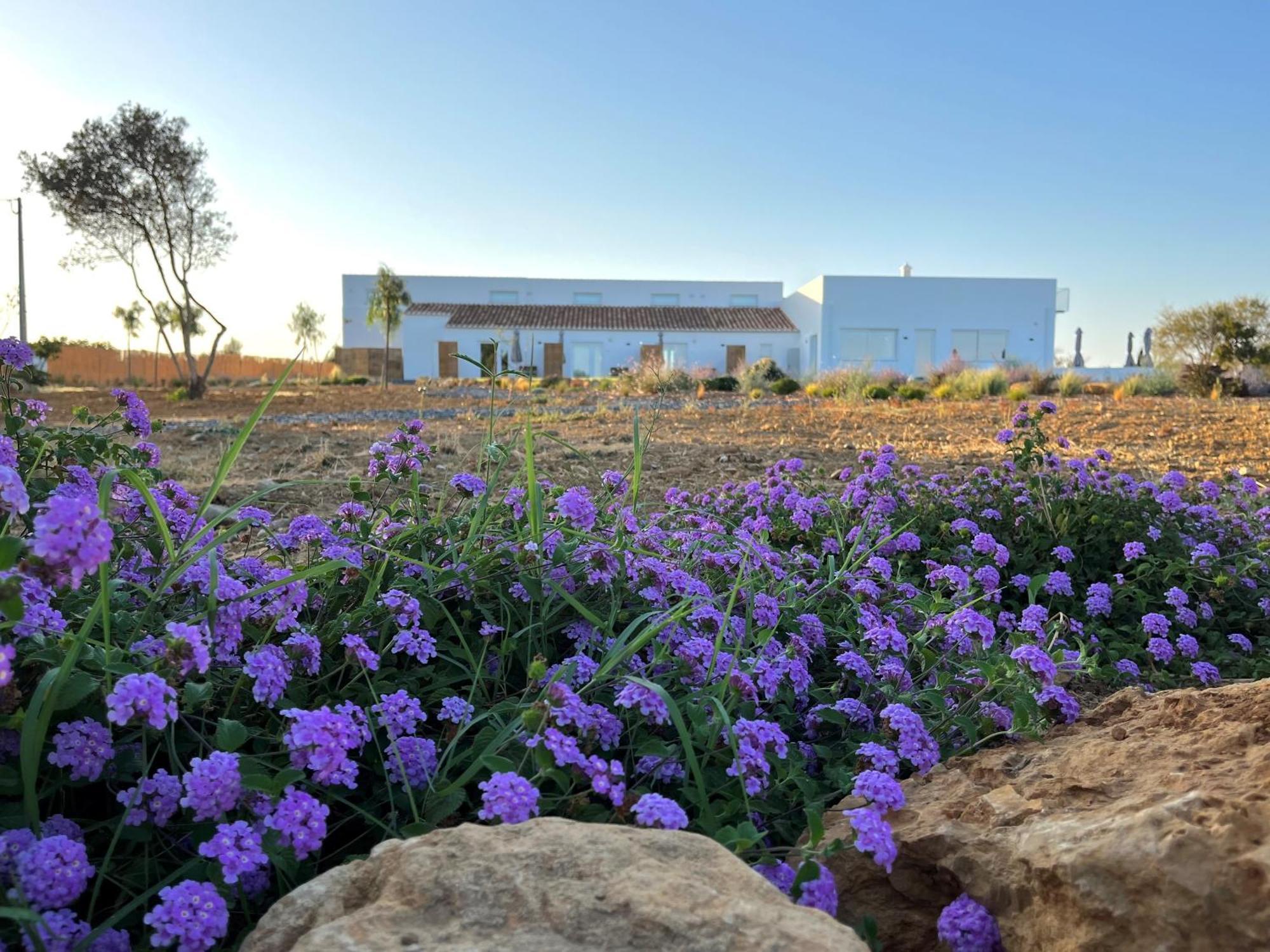 Villa Lobos Tavira Exterior foto
